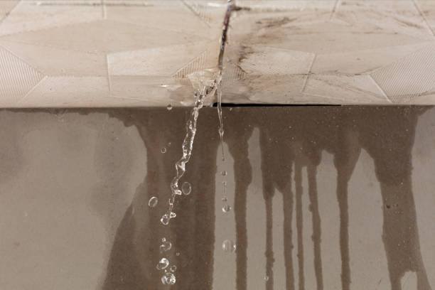 Professional Burst Pipe Cleanup technician working in Fredericksburg, IA